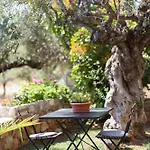 Small Paradise In Saint Nicolas Village ! Agios Nikolaos (Mani)