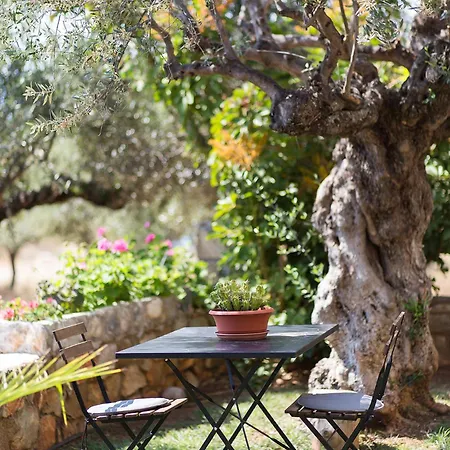 Small Paradise In Saint Nicolas Village ! Agios Nikolaos (Mani)