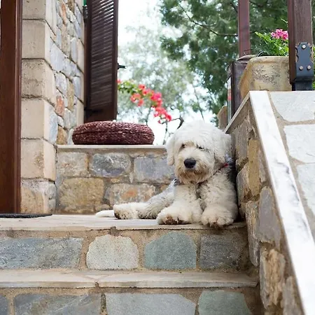 بيت للعطل Small Paradise In Saint Nicolas Village !