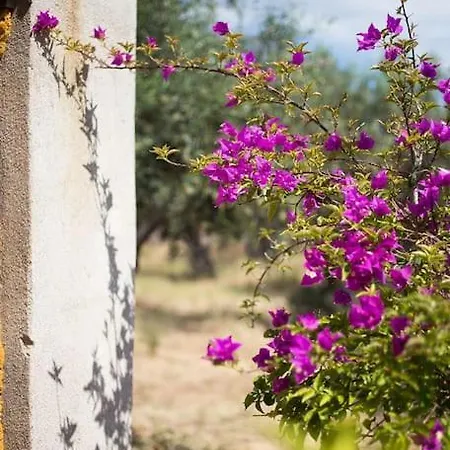 بيت للعطل Small Paradise In Saint Nicolas Village ! *