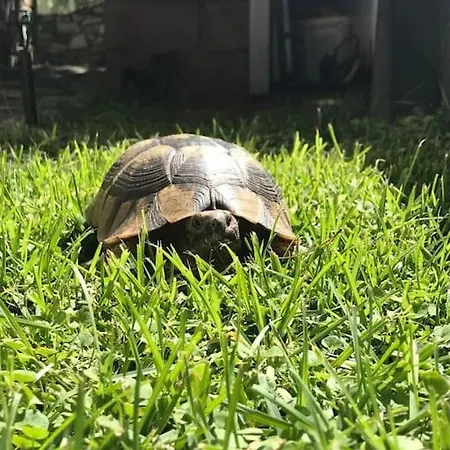 Small Paradise In Saint Nicolas Village !