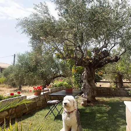 بيت للعطل Small Paradise In Saint Nicolas Village ! *