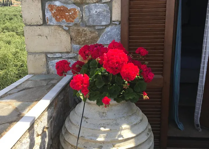 Small Paradise In Saint Nicolas Village ! Vakantiehuis