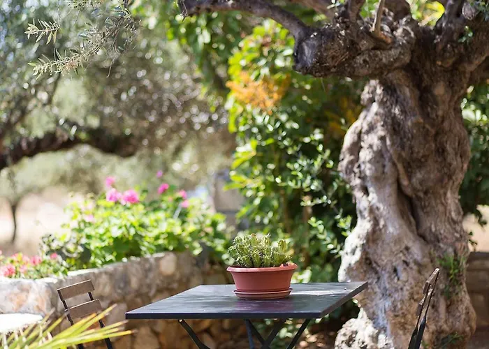 Small Paradise In Saint Nicolas Village ! Agios Nikolaos (Mani)