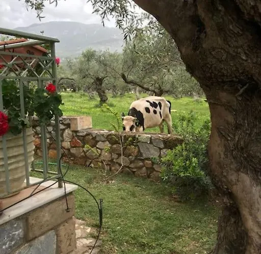 Small Paradise In Saint Nicolas Village ! * Agios Nikolaos (Mani)