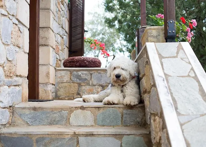 Vakantiehuis Small Paradise In Saint Nicolas Village !