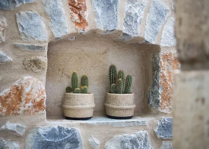 Vakantiehuis Small Paradise In Saint Nicolas Village !