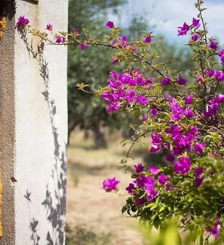 Vakantiehuis Small Paradise In Saint Nicolas Village ! *