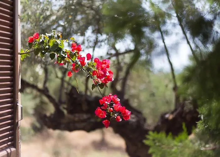Small Paradise In Saint Nicolas Village !