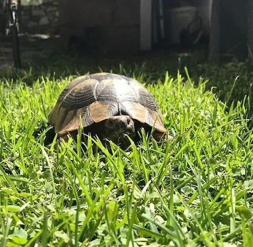 Small Paradise In Saint Nicolas Village !